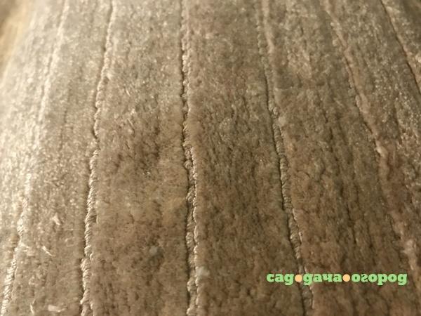 Фото Ковер Now Carpets Basic Bamboo Silk бежевый
