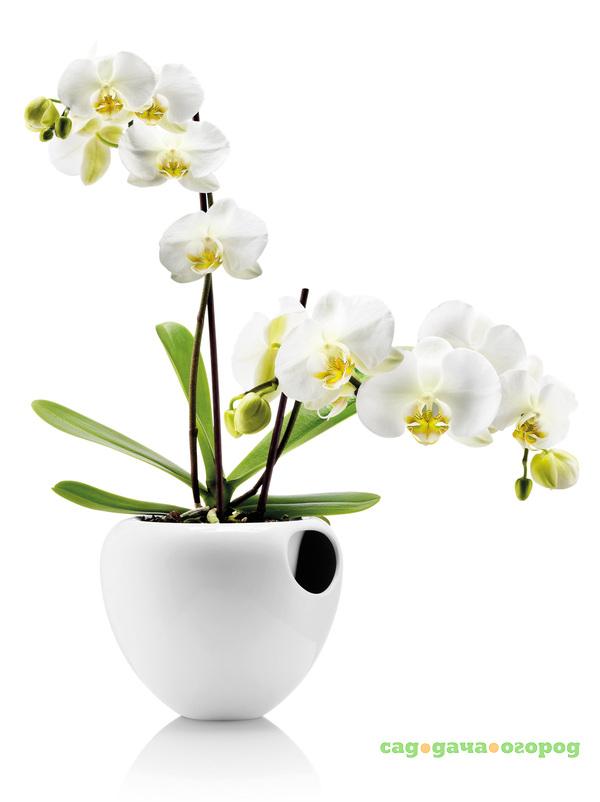 Фото Горшок для орхидеи Eva Solo Orchid Pot белый