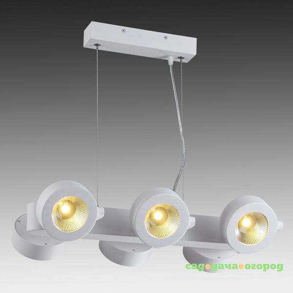 Фото Odeon Light Pumavi 3493/60L