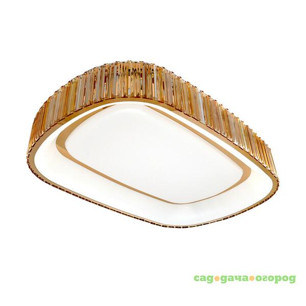 Фото RiForma Neon 1-4792-FG Y LED