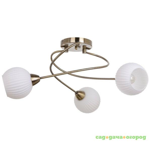 Фото Spot Light Pavia Brass 8270311