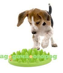 Фото Интерактивная миска для маленьких собак и щенков NORTHMATE(R) GREEN MINI (светло-зеленый) (290х225х73мм)