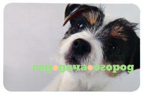 Фото TRIXIE Коврик под миску,фото собаки, 43х28 см (43х28 см)