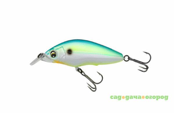 Фото , Воблер Hardcore Shad Crank 0+ 65F, арт.R1183, CSH