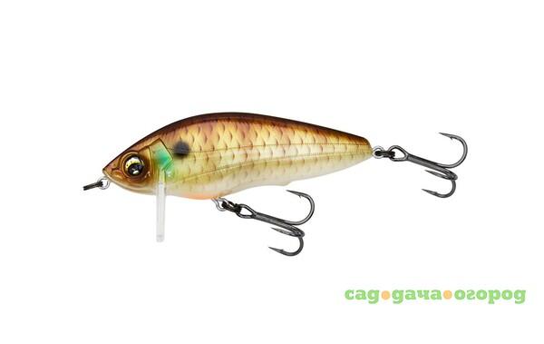 Фото , Воблер Hardcore Shad Crank 0+ 65F, арт.R1183, NBG