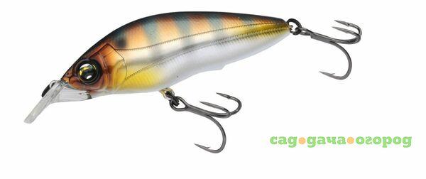 Фото , Воблер Hardcore Shad Crank 2+ 60F, арт.R1185, BBG