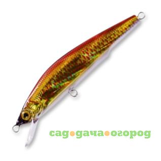 Фото , Воблер Aile Magnet 3G Minnow 105F, арт.F1044, HGR