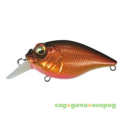 Фото , Воблер SR-X Griffon Boneknocker, Bone Copper Shad