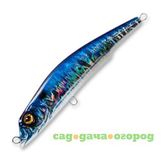 Фото , Воблер Aile Magnet 3G Lipless Minnow 105F, арт.F1048, HBCB