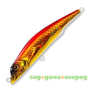 Фото , Воблер Aile Magnet 3G Lipless Minnow 105F, арт.F1048, HGR