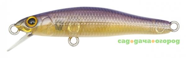 Фото , Воблер X-55F Minnow, GP Tequila Shad Floating