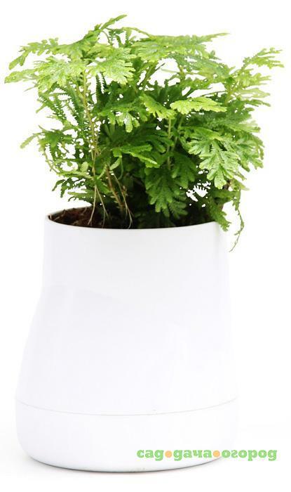 Фото Qualy Горшок цветочный Hill Pot, большой, белый