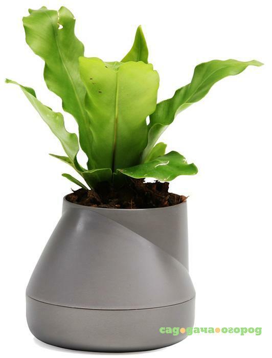 Фото Qualy Горшок цветочный Hill Pot, маленький, серый
