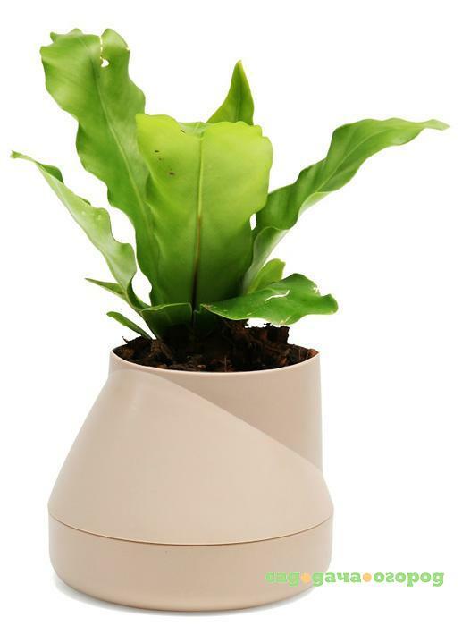 Фото Qualy Горшок цветочный Hill Pot, маленький, кремовый