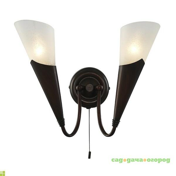 Фото Настенное бра Arte Lamp GOTHICA A6415AP-2BR