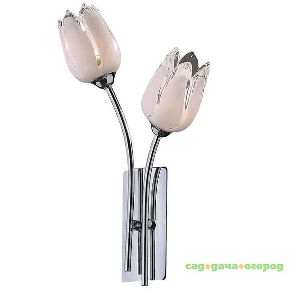 Фото Настенное бра Odeon Light TULIP 1816/2W