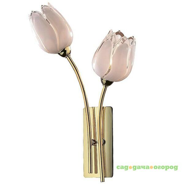 Фото Настенное бра Odeon Light TULIP 1815/2W