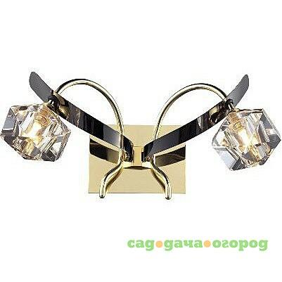 Фото Настенное бра N-Light N-Light 09 17 09 1722 0311 02 gold + black chrome