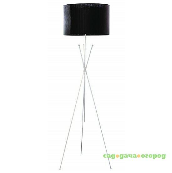 Фото Торшер Arte Lamp EASY A1713PN-1CC