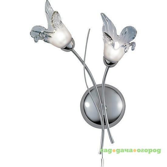 Фото Настенное бра Arte Lamp LILY A5494AP-2CC