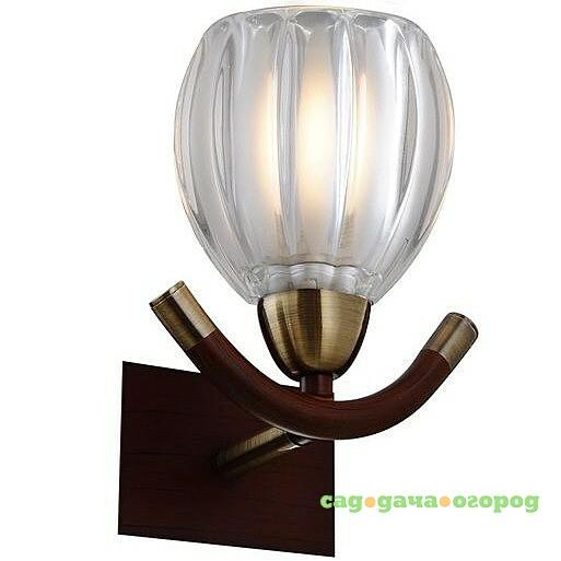 Фото Настенное бра N-Light N-Light 407 407-01-51ABWBB antique brass + walnut