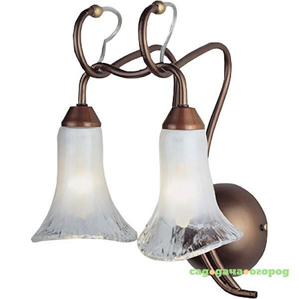 Фото Настенное бра N-Light BX-0327 BX-0293/2 shining coffee