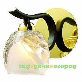 Фото Настенное бра N-Light N-Light 438 438-01-31 gold + dark wengue