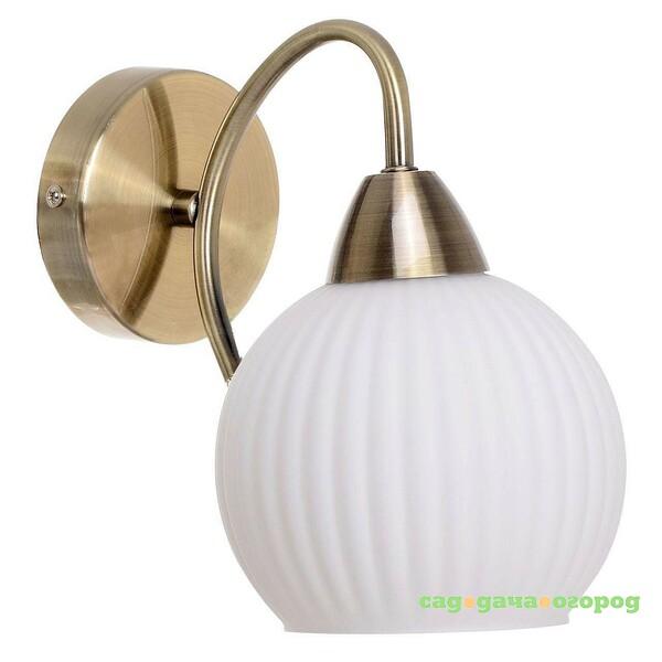 Фото Настенное бра Spot Light Pavia Brass 8270111