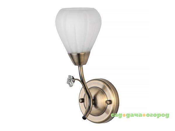 Фото Настенное бра Toplight Lorin TL3570B-01AB