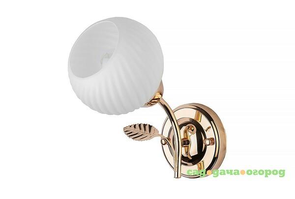 Фото Настенное бра Toplight Maria TL3510B-01FG