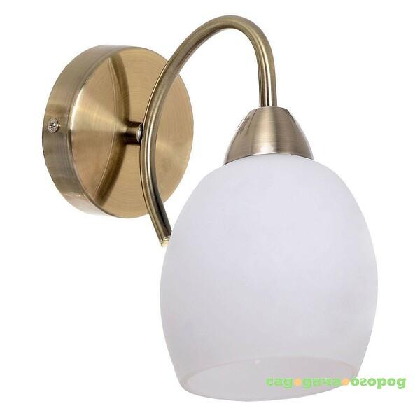 Фото Настенное бра Spot Light Pisa Brass 8280111