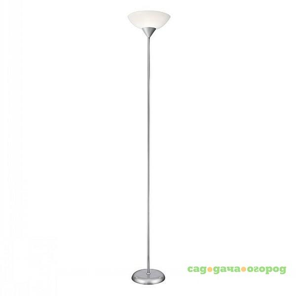 Фото Торшер Arte Lamp DUETTO A9569PN-1SI