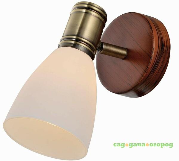 Фото Настенное бра Toplight Sharyl TL3720Y-01BB