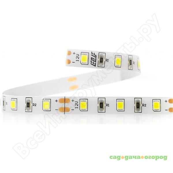 Фото Светодиодная лента elf germes, 300smd 2835, 12в, ip65, 5 м, зеленая 300smd2835-germes-g