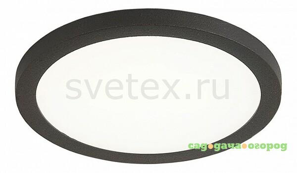 Фото Омега CLD50R082