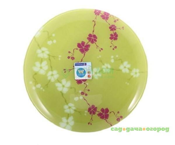 Фото Тарелка LUMINARC KASHIMA GREEN G9326/26097