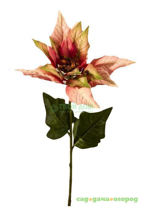 Фото Botanic haus Цветок искусств пуанцетия 20см оранж (675314 RS)