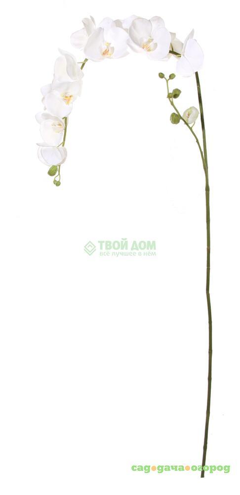 Фото Shi shi Цветок иск фаленопсис бел 175см (33641)