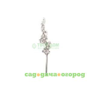 Фото Цветы Botanic Haus 851538 LGN