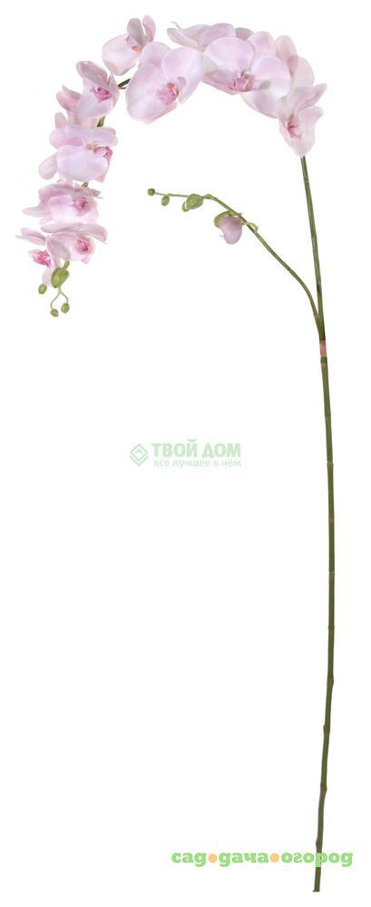 Фото Shi shi Цветок иск фаленопсис 175см розов 2 вет (33639)