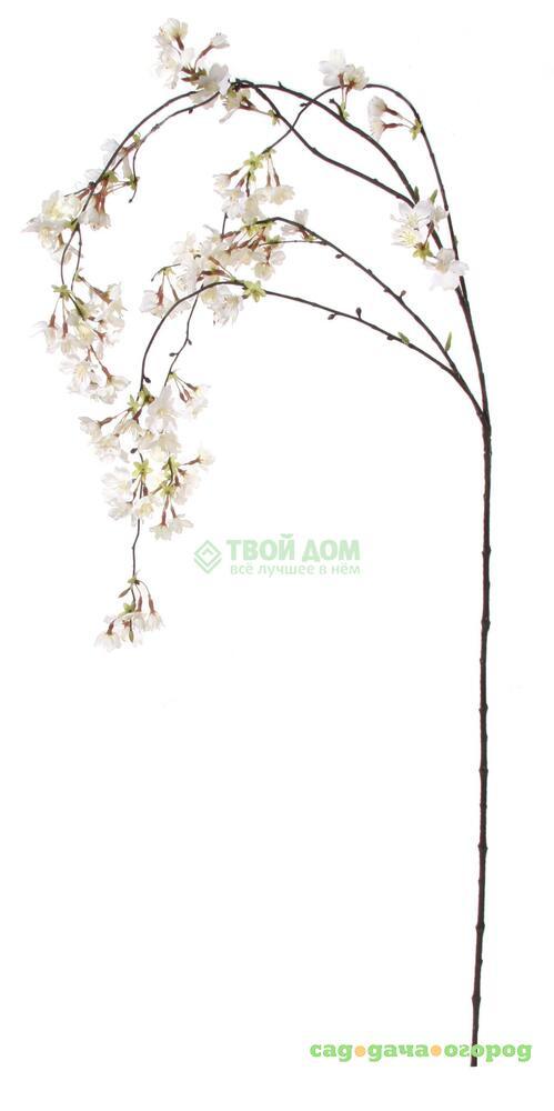 Фото Цветы Shi shi Ветвь иск вишня 130см белая (33542)
