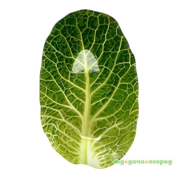 Фото Салатник Walmer leaf lettuce w22071323