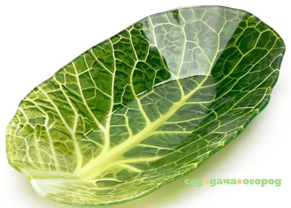 Фото Салатник leaf lettuce 18x27см Walmer