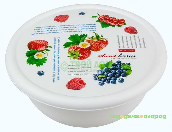 Фото Миска Plast Team PT2450IML-BERRY