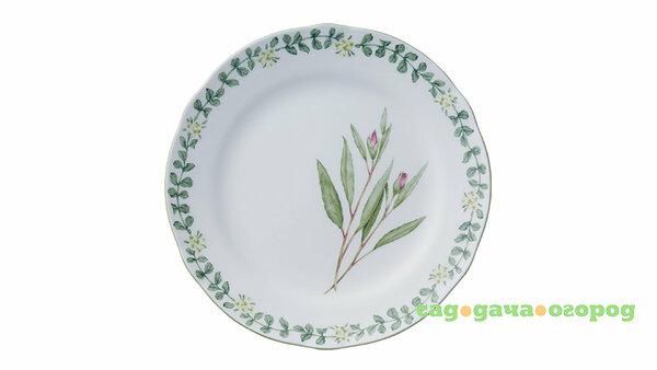 Фото Тарелка обеденная Noritake Английские травы (NOR4942-406)