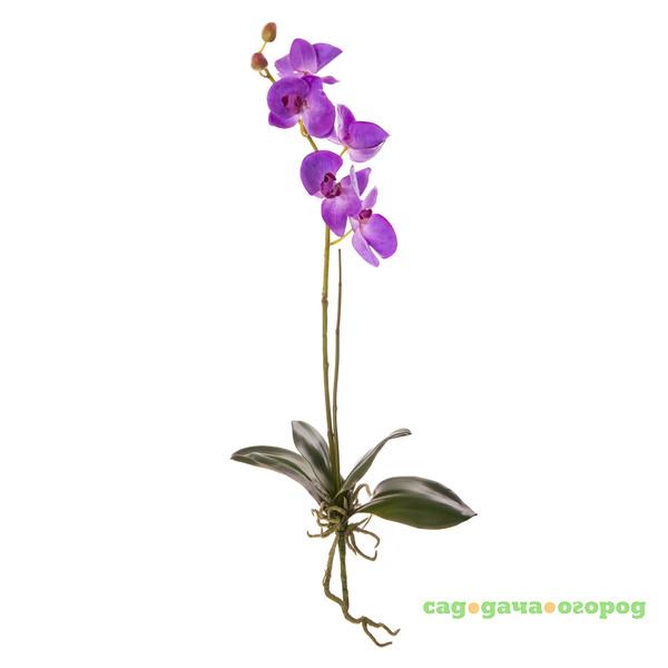 Фото Цветок искусственный Орхидея Фаленопсис фуксия 65 см Litao