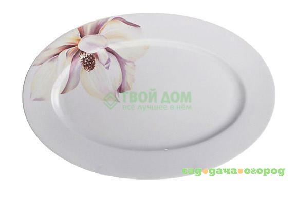 Фото Блюдо Porcelaine Czech Gold Hands Магнолия YV G094 OVAL33