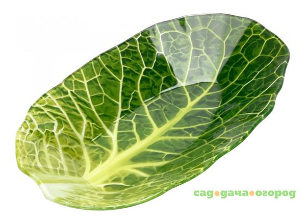 Фото Салатник Walmer leaf lettuce w22071626