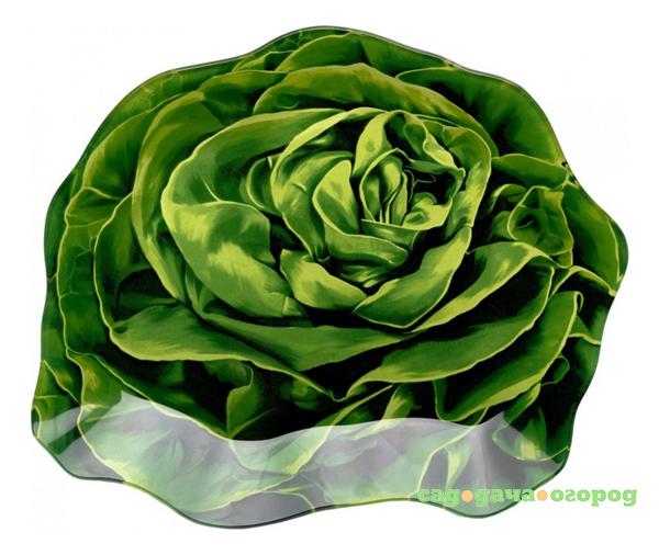 Фото Блюдо сервировочное Walmer lettuce w22051618