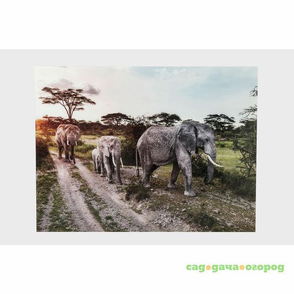 Фото Картина семья слонов 160х120см Kare